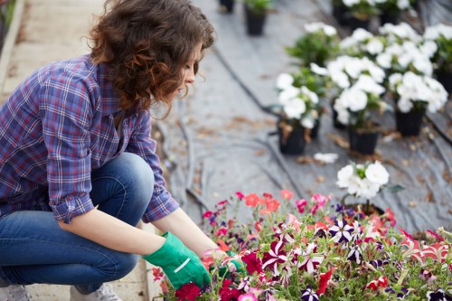 Professional lawn mowing service in Putney