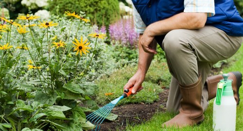 Insurance certificate and policy documents for gardening service