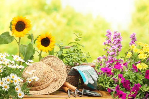 Sustainable gardening practices by Gardener Putney