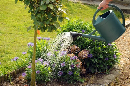 Pruning and trimming in a Putney garden