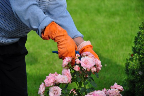 Cost-effective garden maintenance in Putney