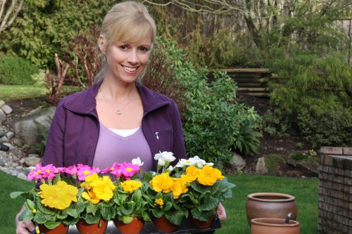 Seasonal lawn mowing tips for Putney gardens