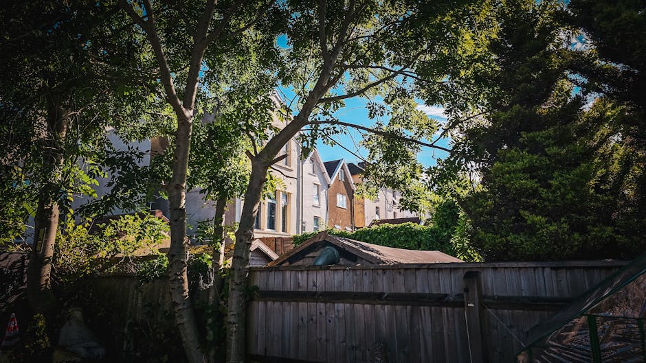 A garden scene viewed from below, featuring a variety of leafy trees with green foliage casting dappled shade over a weathered wooden fence. Beyond the fence, there are residential buildings with ligh