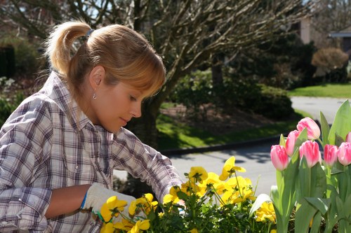 In a residential garden in Putney, a woman with blonde hair tied back in a ponytail is tending to a flower bed filled with yellow and pink tulips and other blooming plants. She is wearing a plaid shirt and garden gloves, focused on caring for the vibrant flowers. The garden features a neatly maintained lawn in the foreground, with a paved pathway visible in the background. Behind her, there are mature trees and shrubbery, providing a natural backdrop and shaded areas. The sunlight suggests a clear day, highlighting the lush green grass, colorful flowers, and earthy soil. The scene reflects professional outdoor maintenance, typical of garden landscaping services in the Putney area, and showcases the variety of plant life and garden design typically cultivated by Gardener Putney.